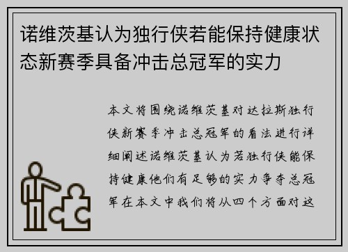 诺维茨基认为独行侠若能保持健康状态新赛季具备冲击总冠军的实力